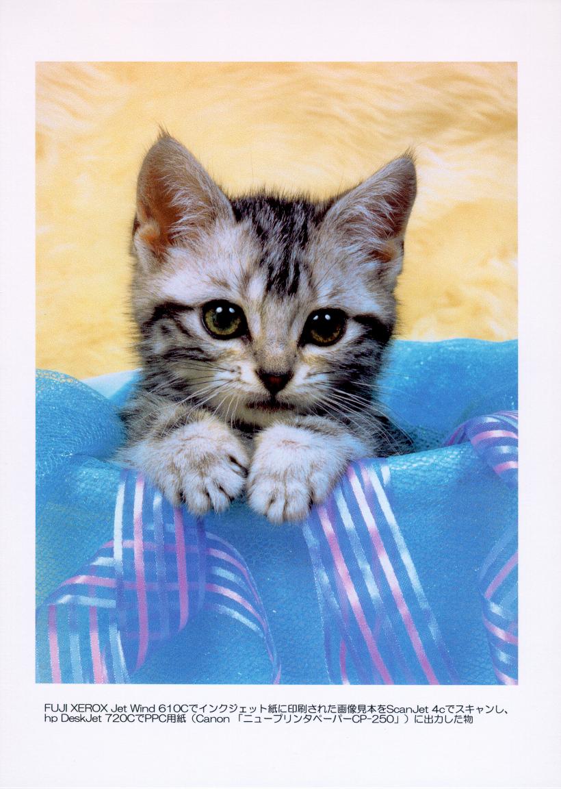 Duplicate by ScanJet 4c & DeskJet 720C with PPC paper