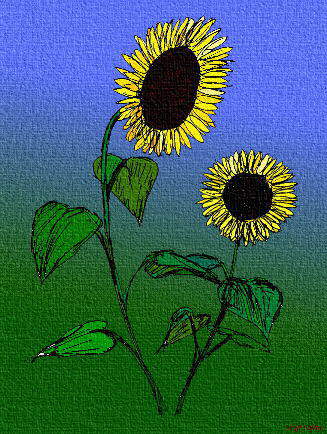 sunflwrs.jpg