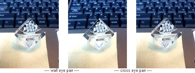 Epoxy resin Paper Weight; 39,211 bytes